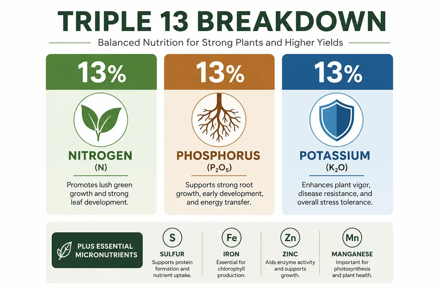 Infographic of 13-13-13 fertilizer nutrients about 13 percent nitrogen, phosphorus, and potassium plus micronutrients