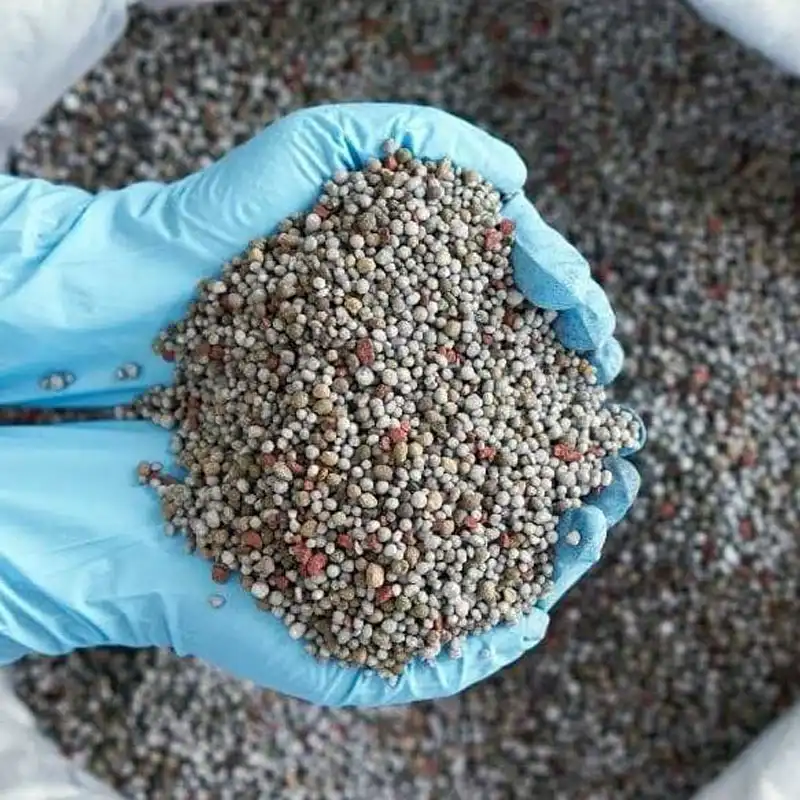 CZ Grain 12-12-12