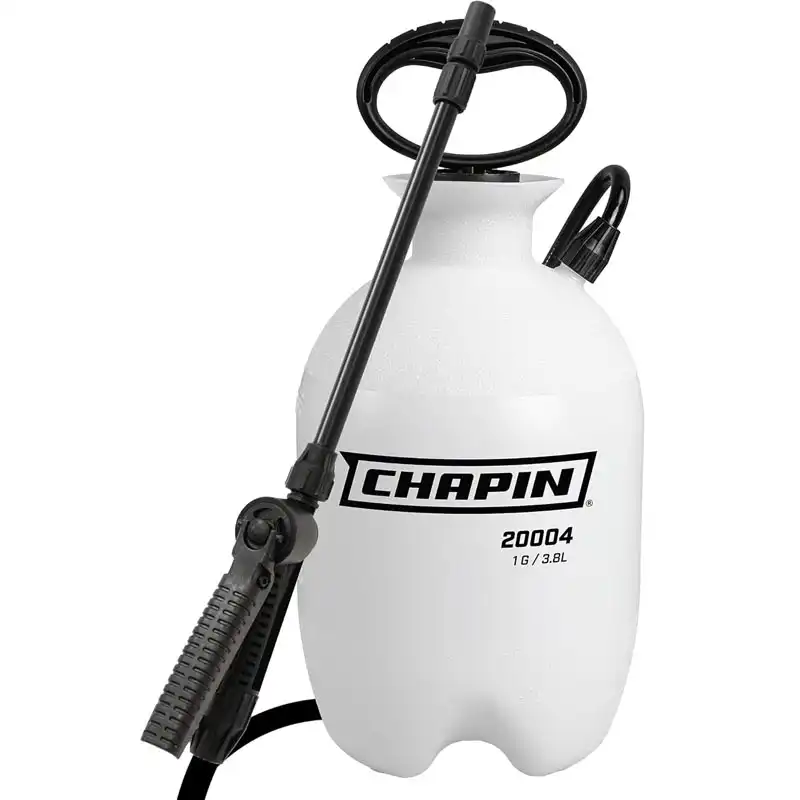 Chapin 20004