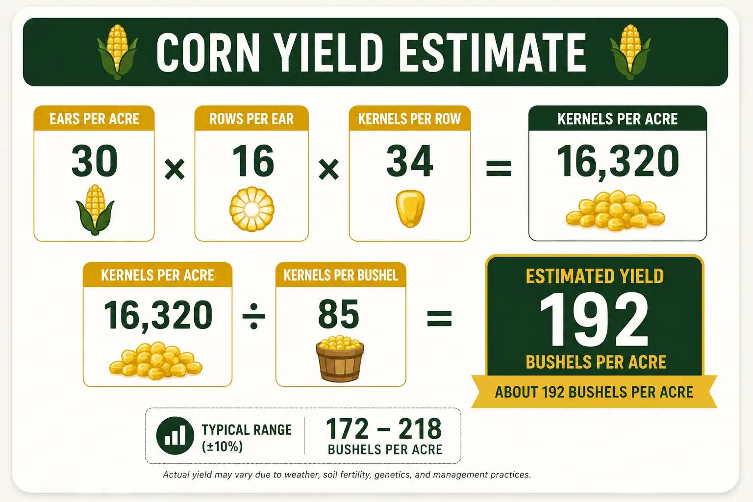 Worked example of how to calculate corn yield by ear resulting in about 192 bushels per acre