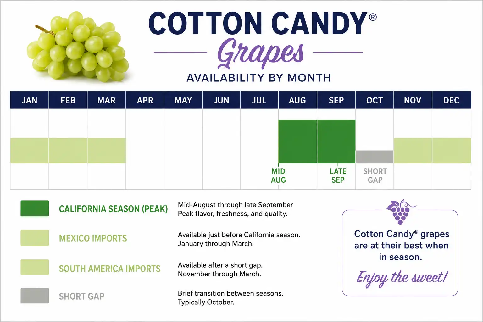Calendar infographic about when cotton candy grapes are in season, peaking August to September with winter imports