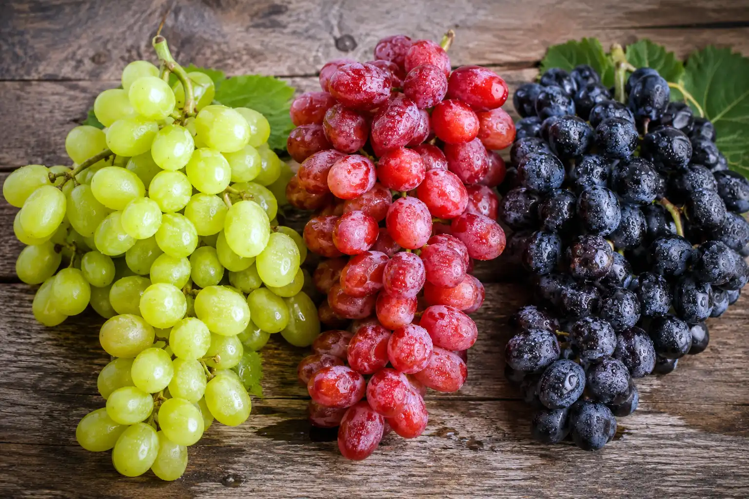 Green, red, and black table grape varieties arranged side by side showing common colors