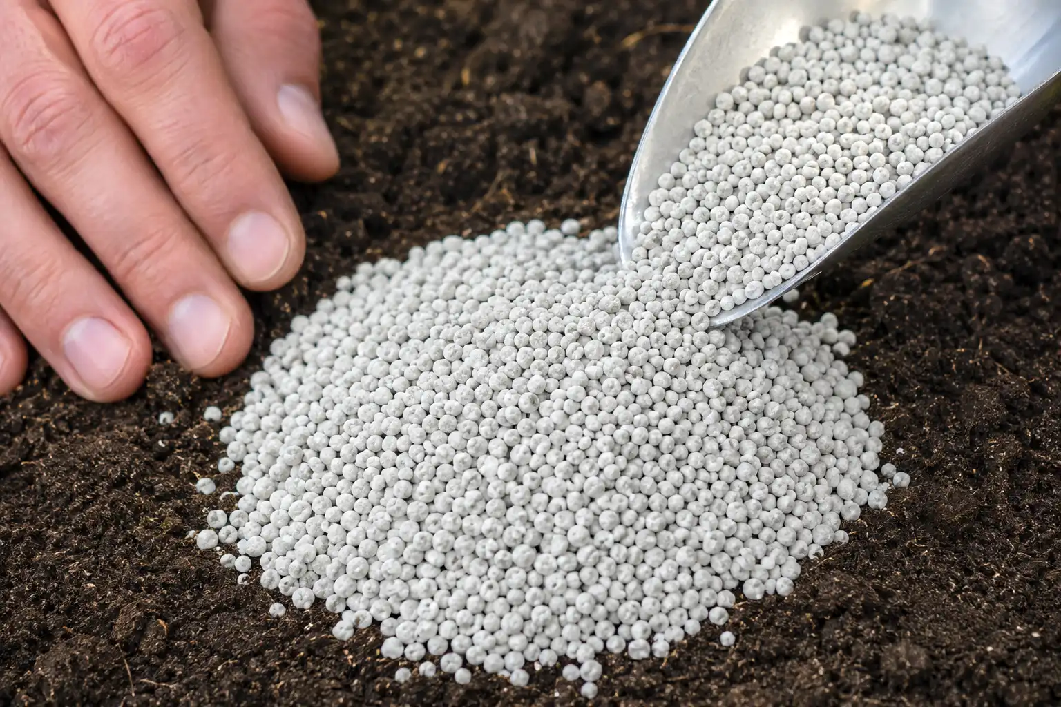 Close-up of monoammonium phosphate granules, the material behind 11-52-0 fertilizer