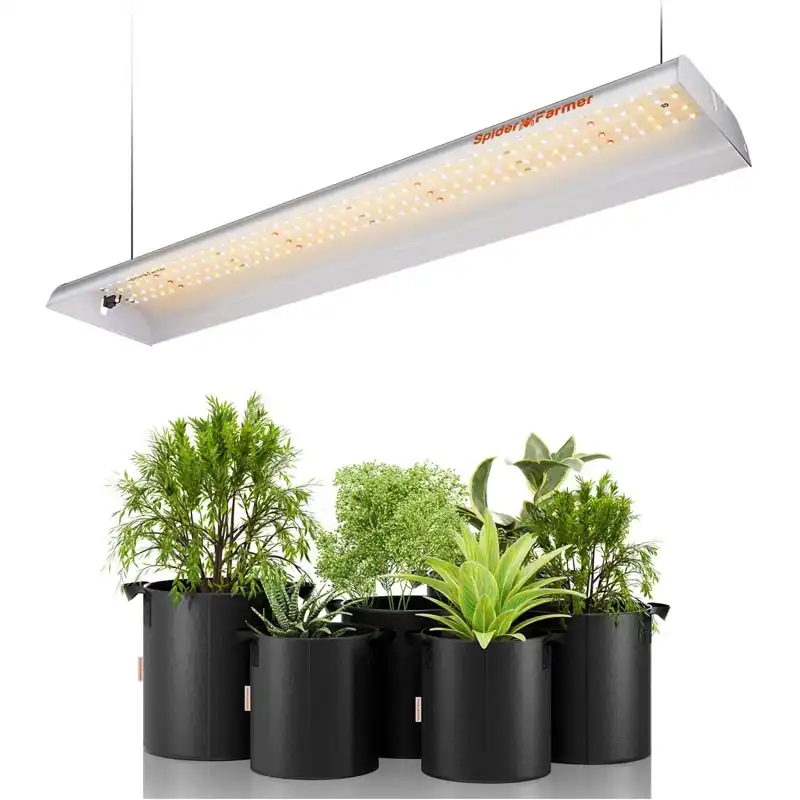 Spider Farmer SF300 LED Grow Light