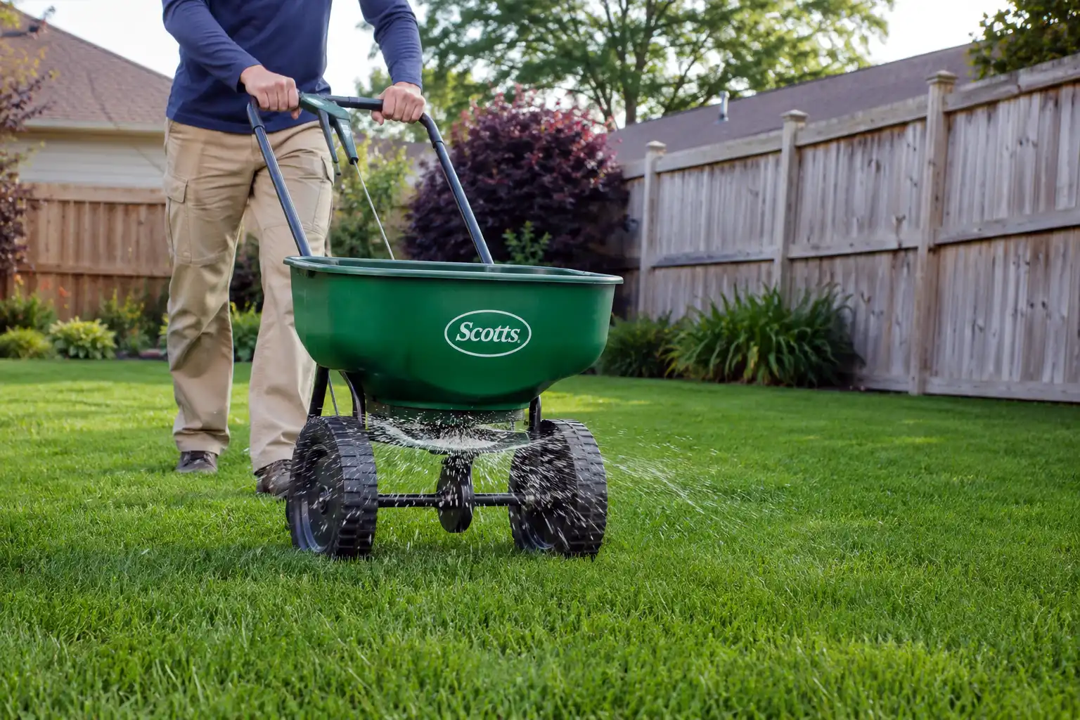 Applying 15-0-15 fertilizer with a broadcast spreader across a green lawn for even coverage