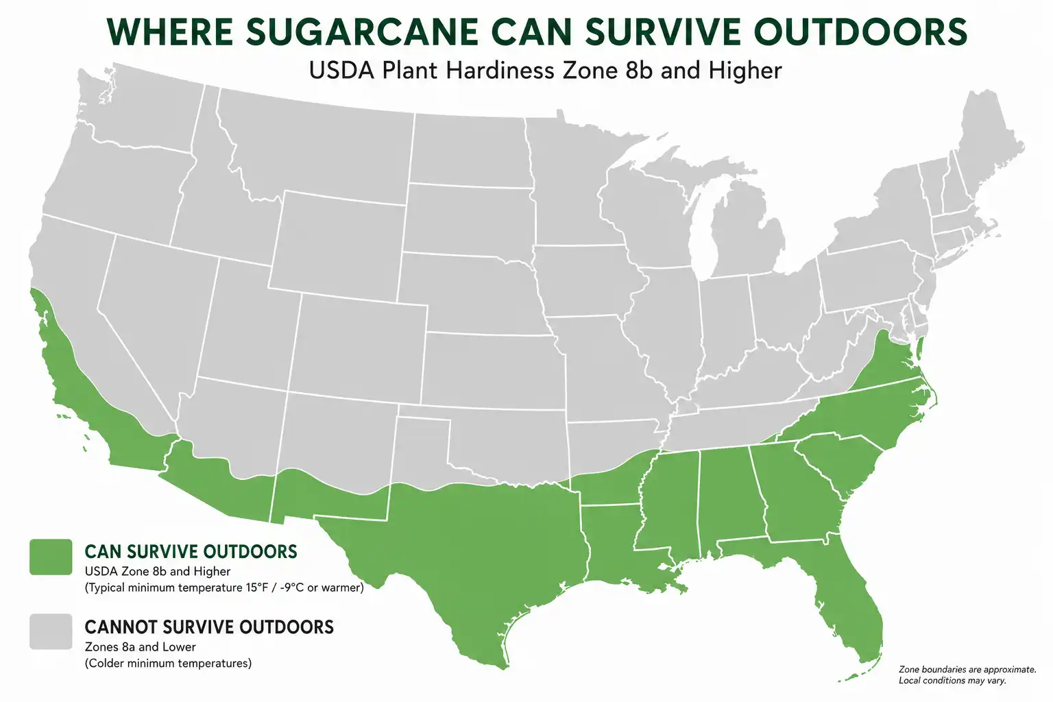 United States map about where sugarcane can grow outdoors, limited to warm USDA hardiness zones 8b and higher in the South.