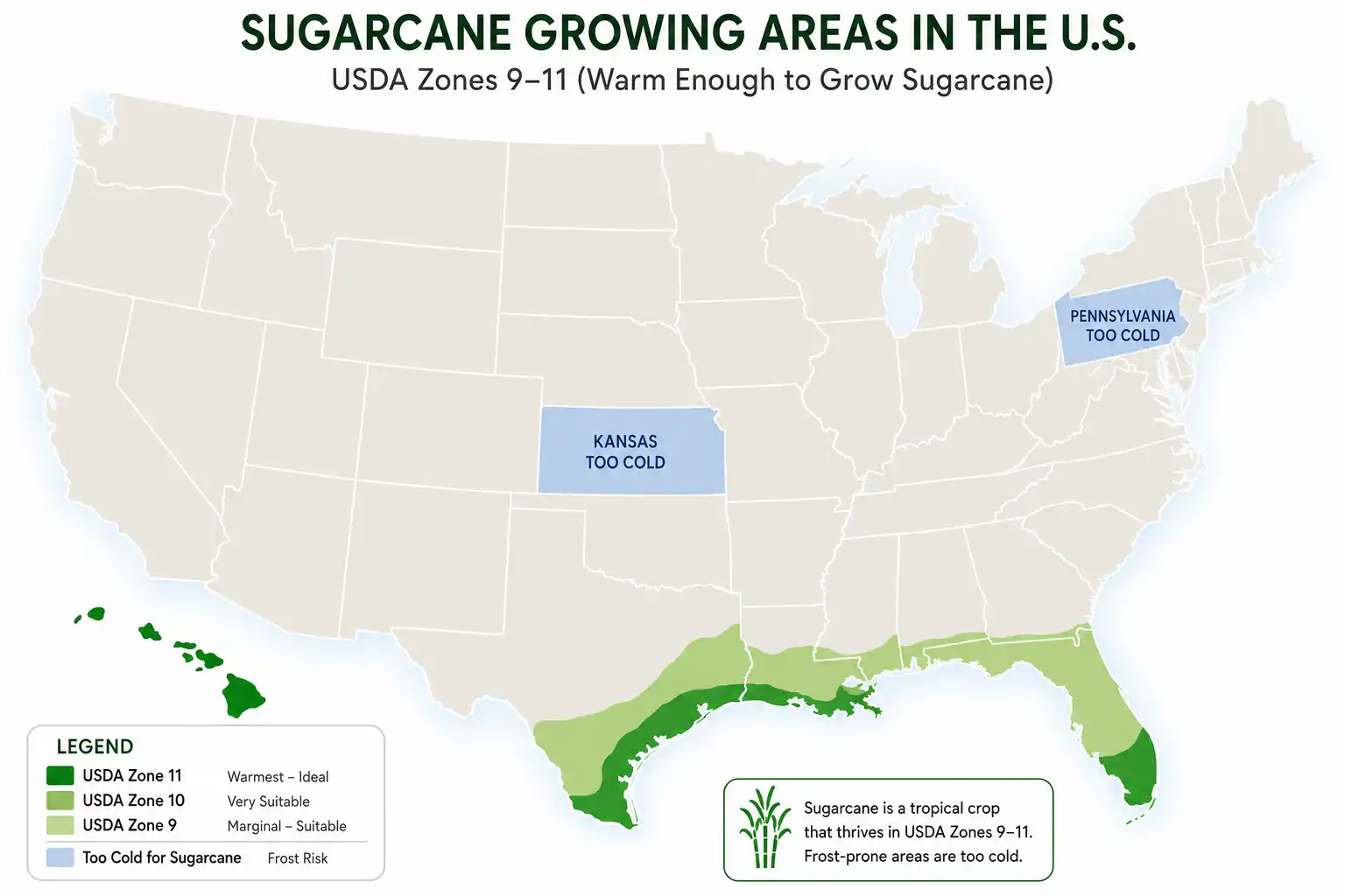 US map infographic of USDA zones 9 to 11 where sugarcane grows and cold states like Pennsylvania marked too cold