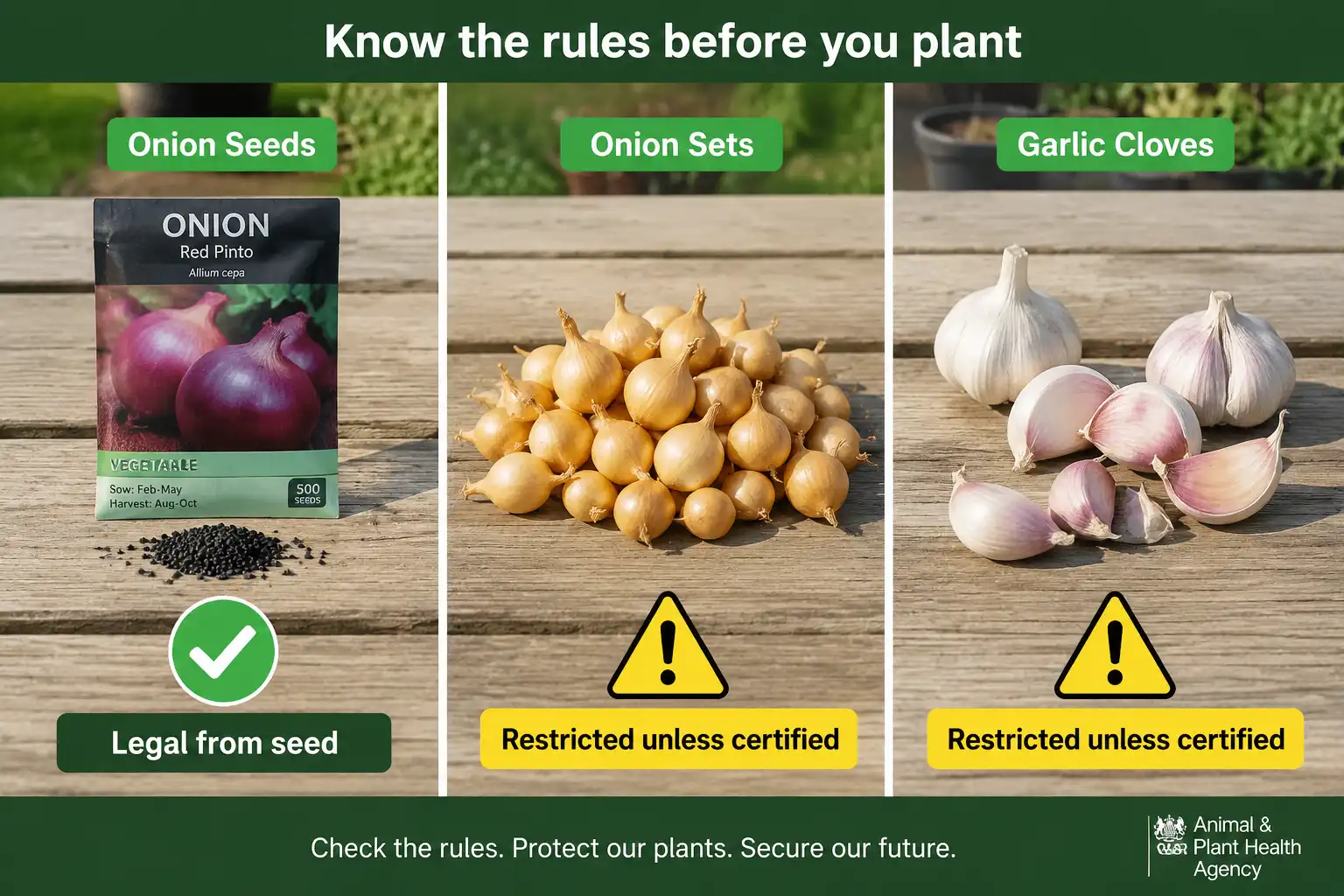 Comparison of onion seeds, onion sets, and garlic cloves of which planting stock is legal inside Idaho quarantine counties