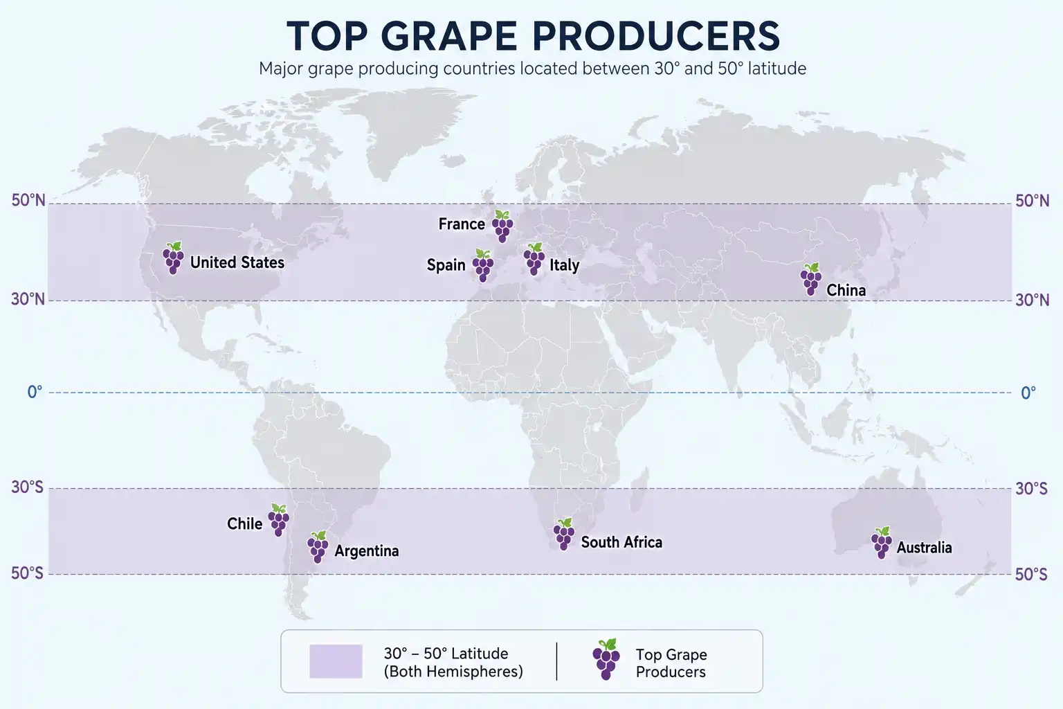 World map infographic of global grape growing regions in the 30 to 50 degree latitude band with leading producer countries