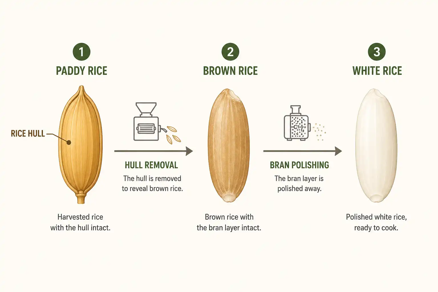 Diagram of how the rice hull is removed from the grain during milling