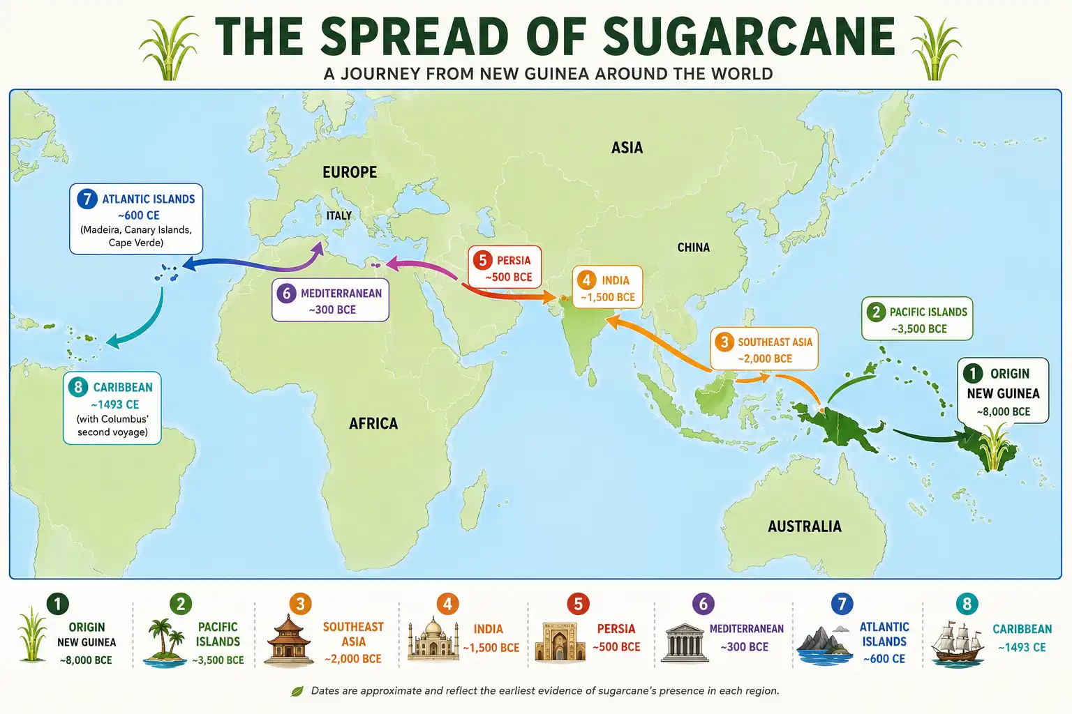 Map of sugarcane spreading from New Guinea across Asia to India, the Middle East, and the Caribbean over thousands of years.