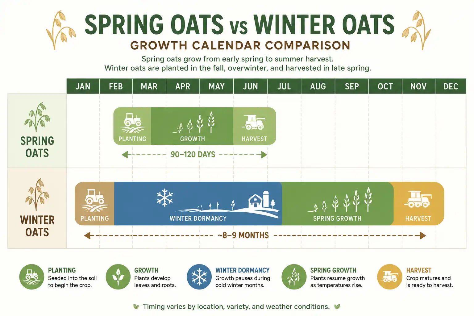 Comparison chart of spring oats maturing in 90 to 120 days versus winter oats spanning fall to late spring