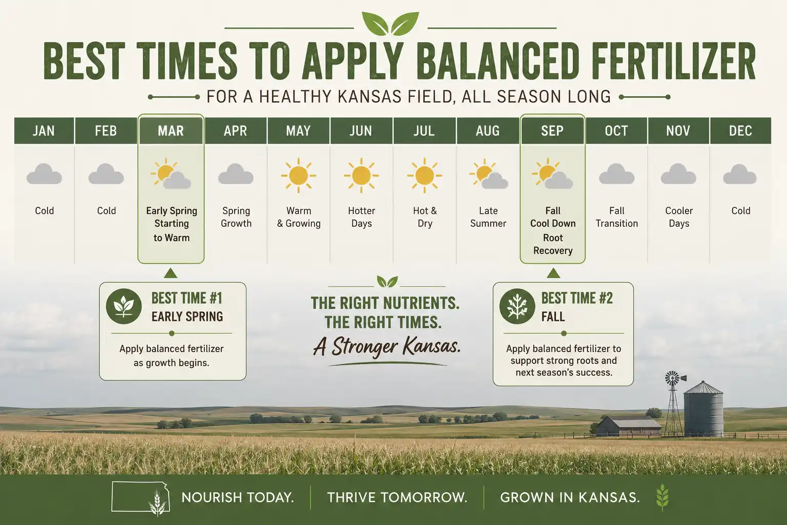 Apply 12-12-12 fertilizer early spring and fall as the best windows