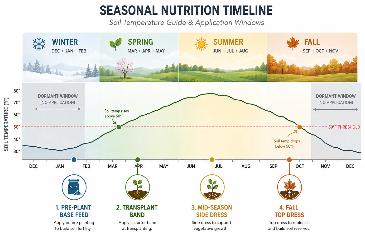 Apply organic granules once soil rises above 50 degrees in spring, side dress through summer, top dress in early fall, and skip winter entirely.