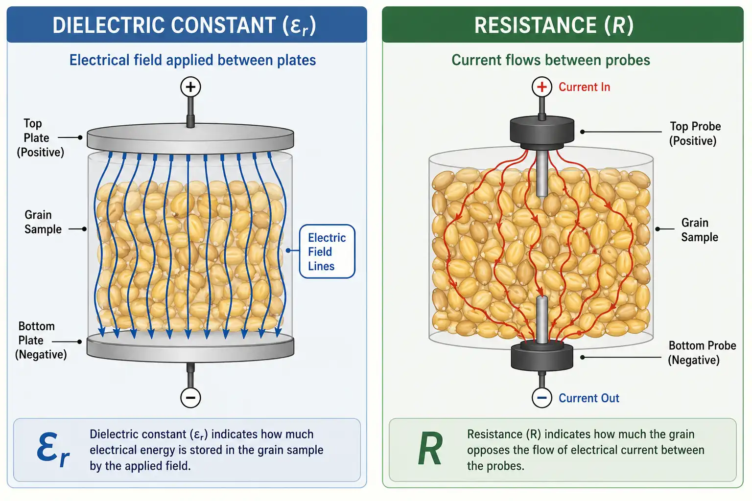Capacitance meters detect how water shifts the dielectric constant of grain, while conductance meters measure resistance as current passes through the sample.