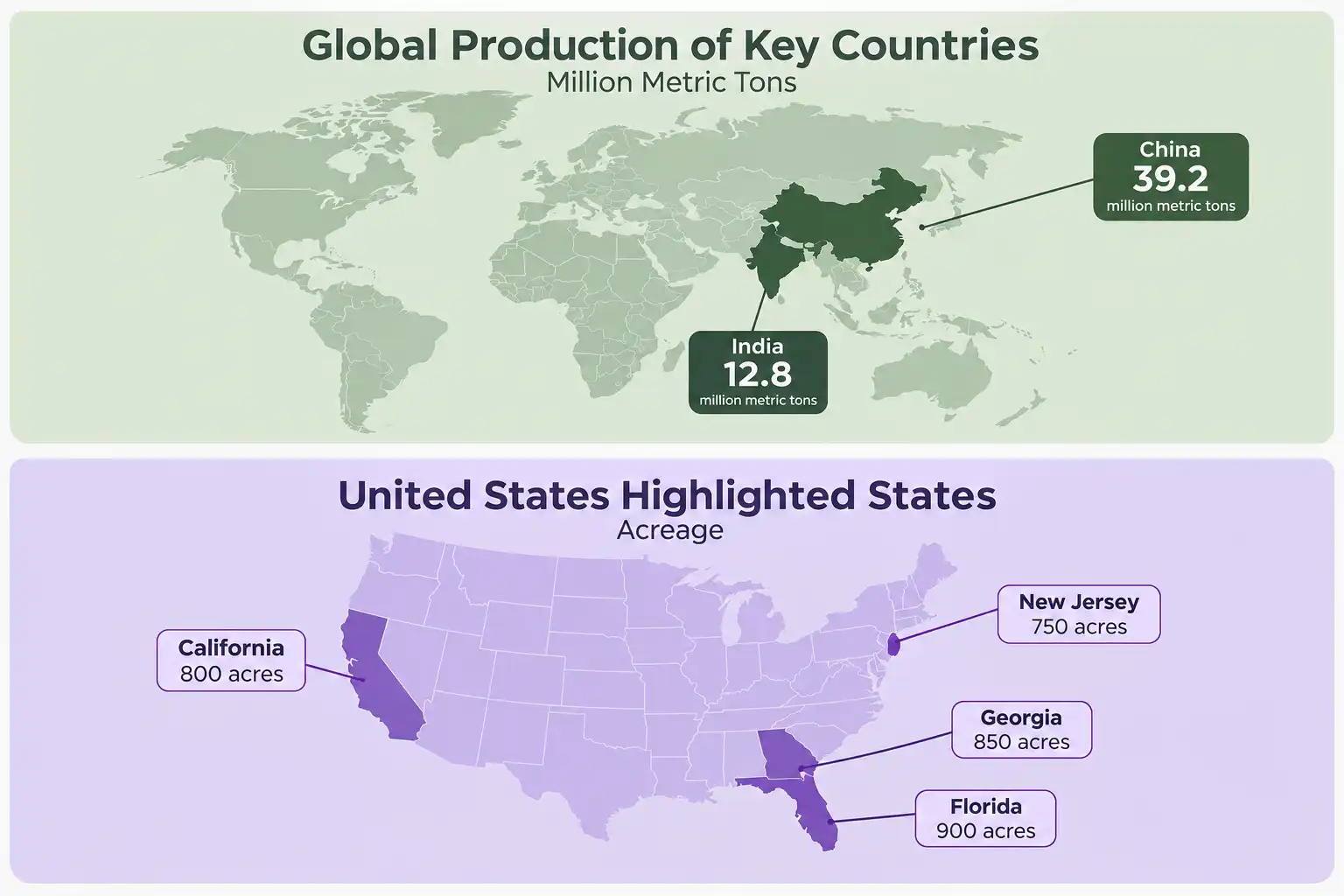 World map of China and India producing most of the world’s eggplant, paired with a United States map highlighting New Jersey, California, Georgia and Florida as the leading growing states