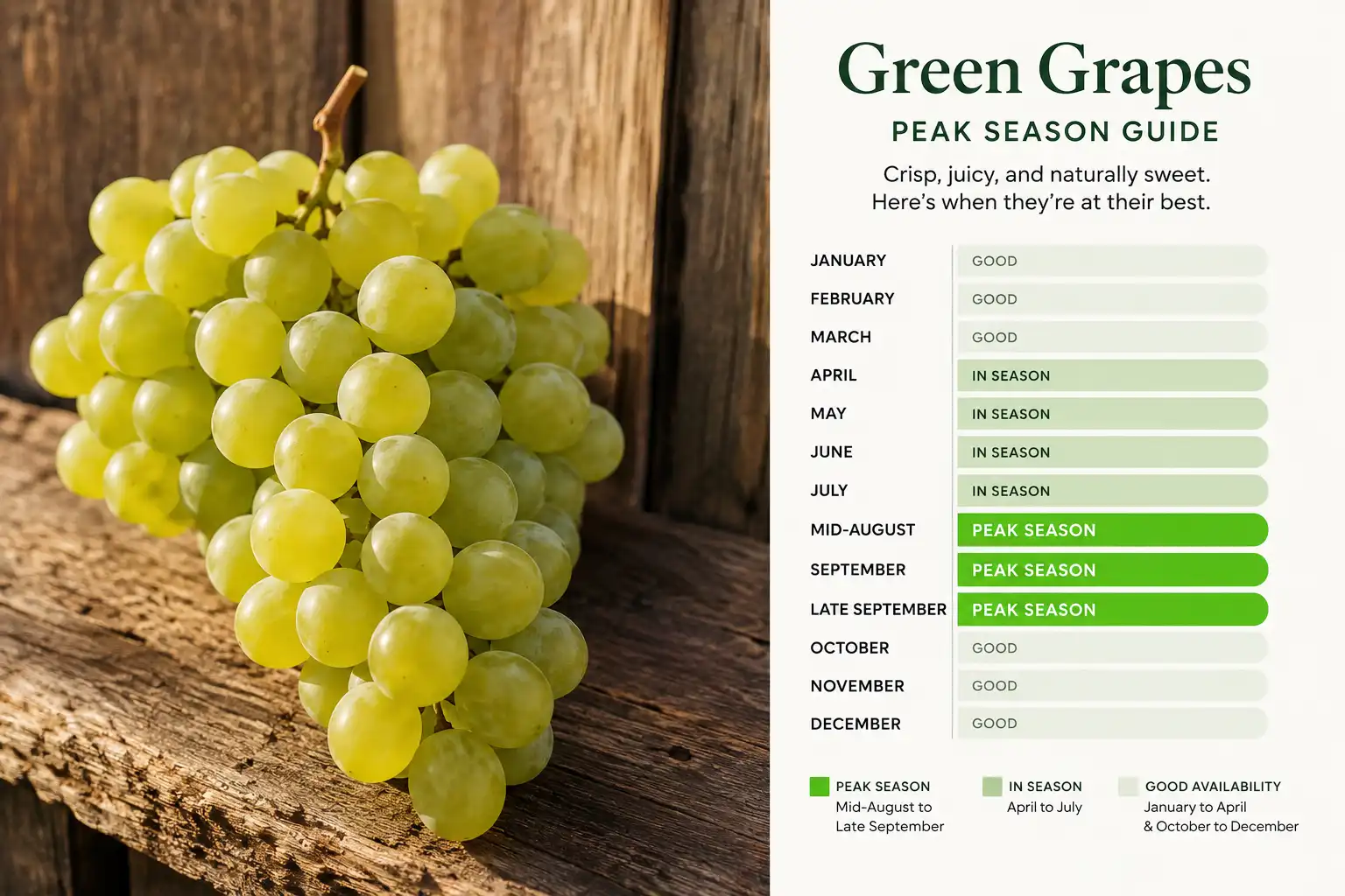 Cotton candy grapes peak season calendar mid August through late September