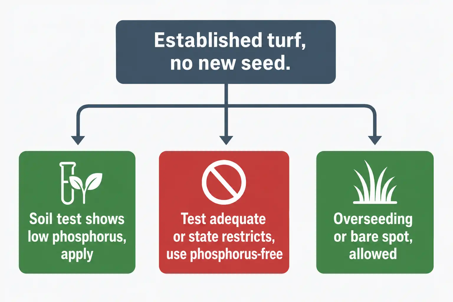 Phosphate belongs on established turf only when a soil test shows low phosphorus or when new seed is going into the ground