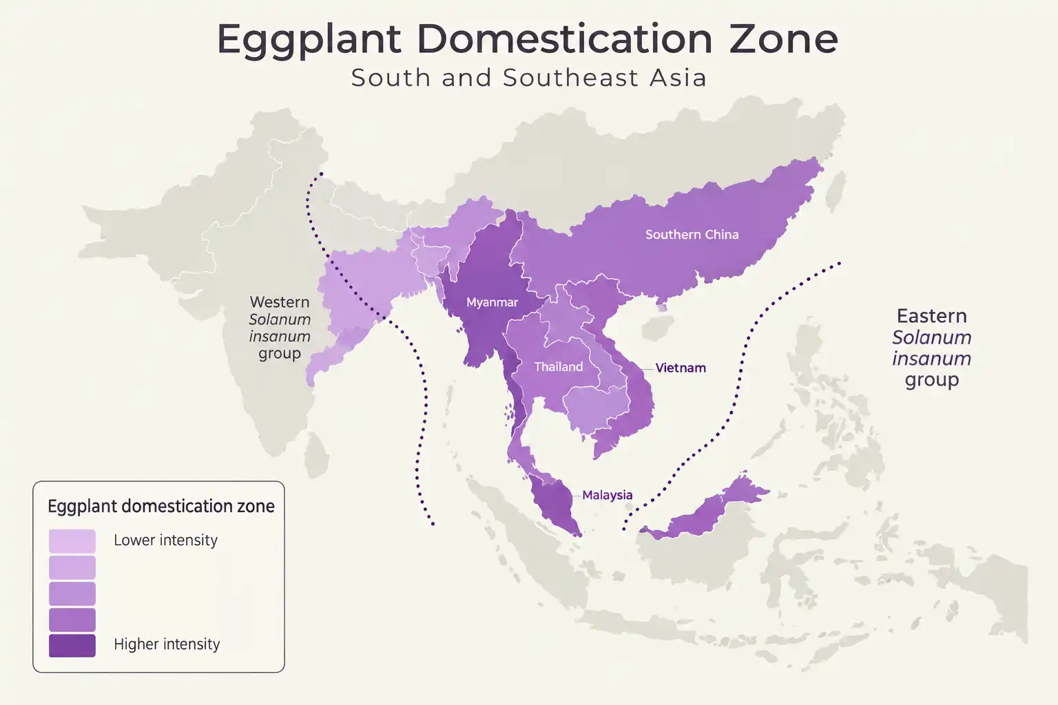 Map shading eastern India, Myanmar, Thailand and southern China as the zone where eggplant was domesticated, with the eastern and western wild Solanum insanum groups outlined separately