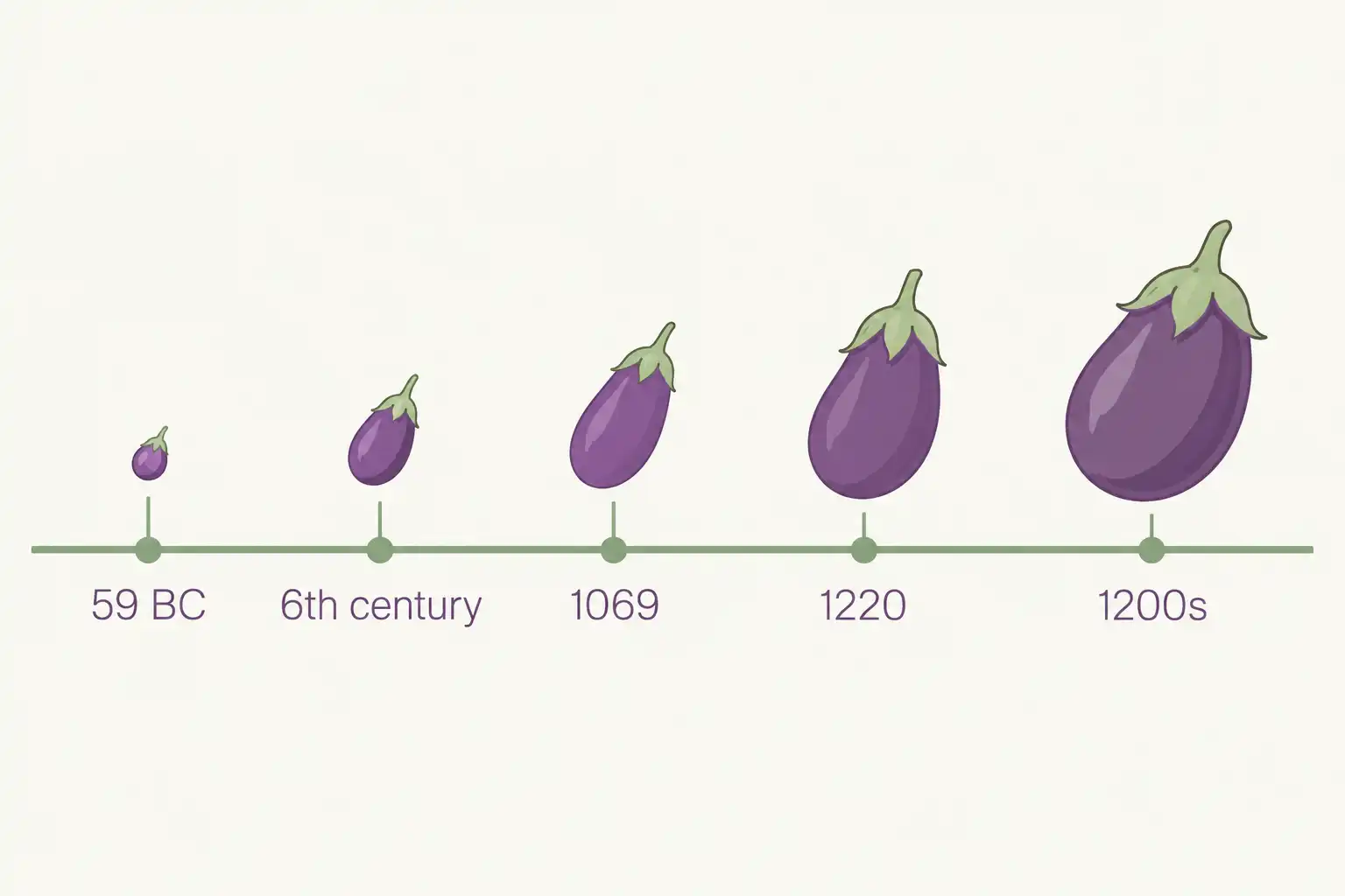 Timeline of eggplant fruit size increasing from a slingshot pellet in the sixth century to roughly four inches wide by the 1200s in Chinese agricultural records