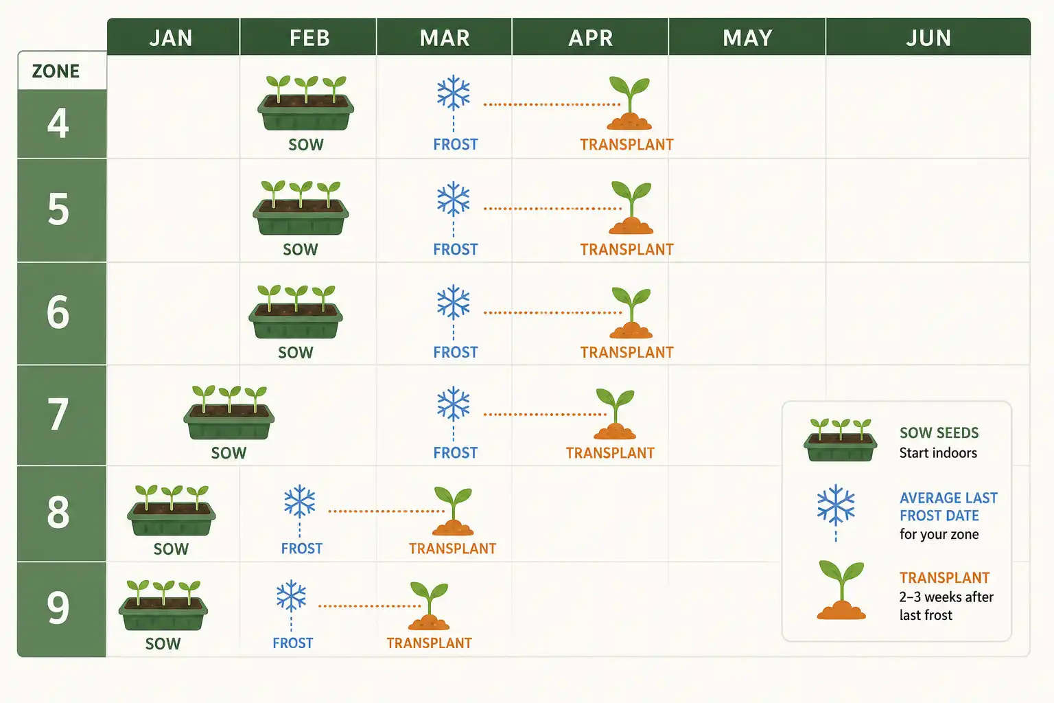 Calendar chart of eggplant sowing weeks and transplant weeks for USDA zones 4 through 9 relative to average last frost