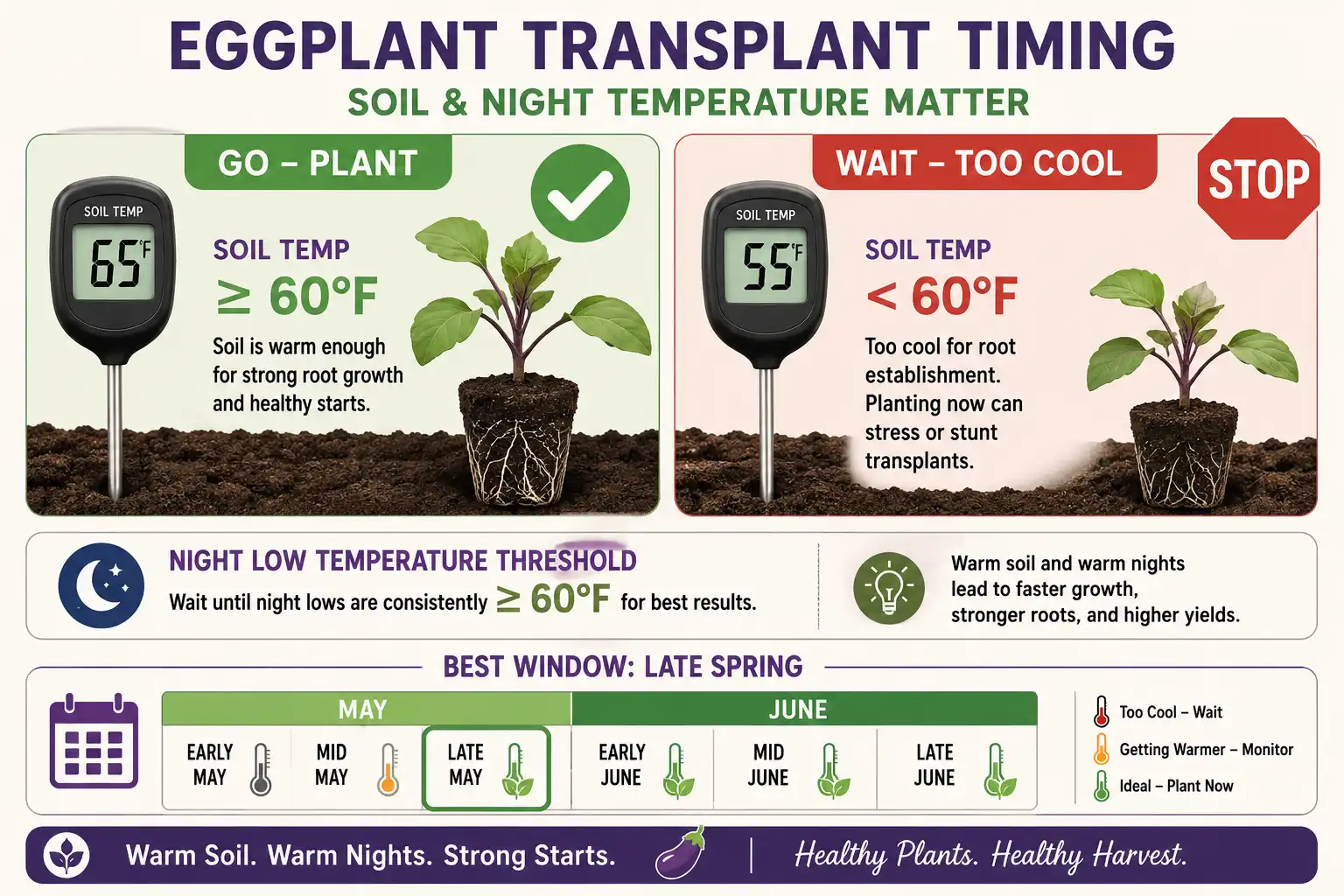 Chart of eggplant should go out at 65 degree soil temperature and night lows above 60 degrees, not at 55 degrees