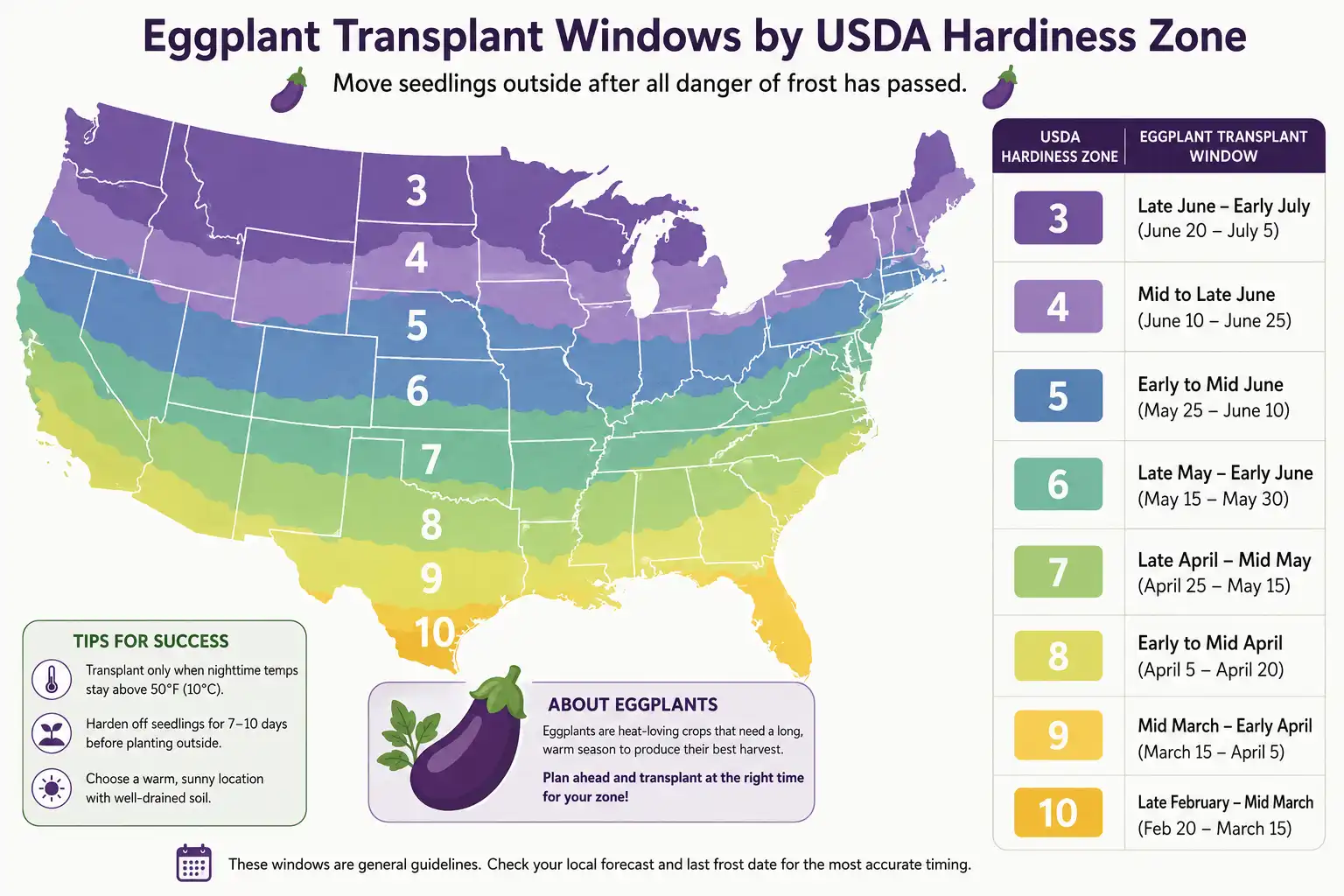 Eggplant transplant windows run from late January in zone 10 to mid June in zone 3