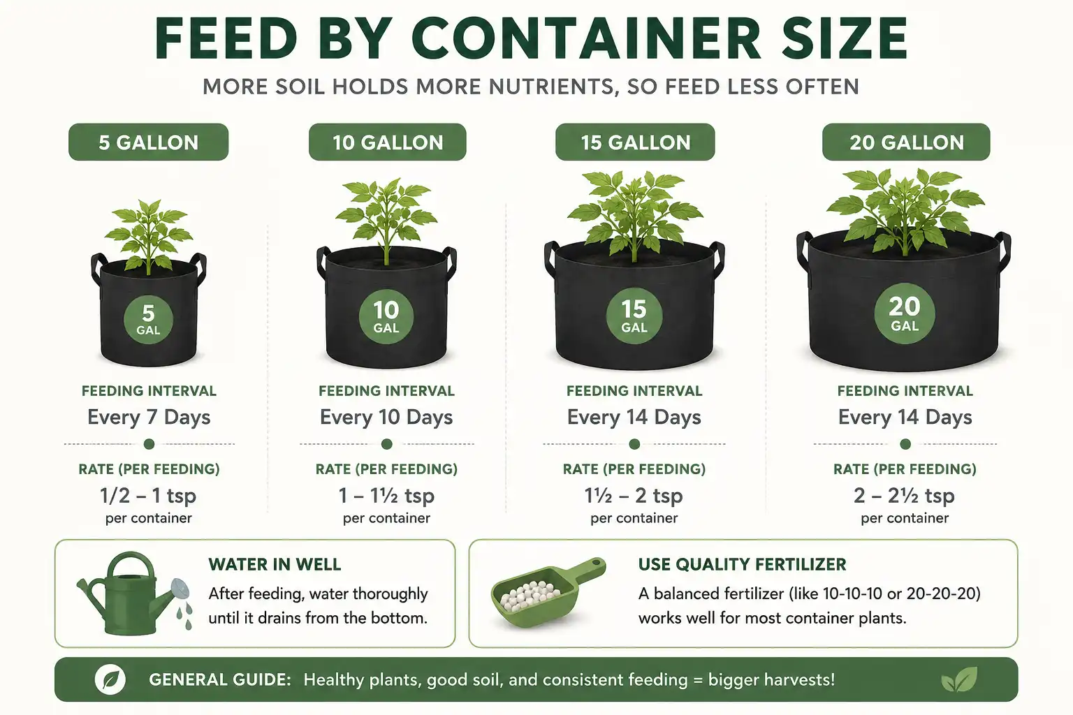 Five gallon pots fed every five to seven days, ten gallon every seven days, fifteen gallon every ten to fourteen days, and twenty gallon every fourteen days