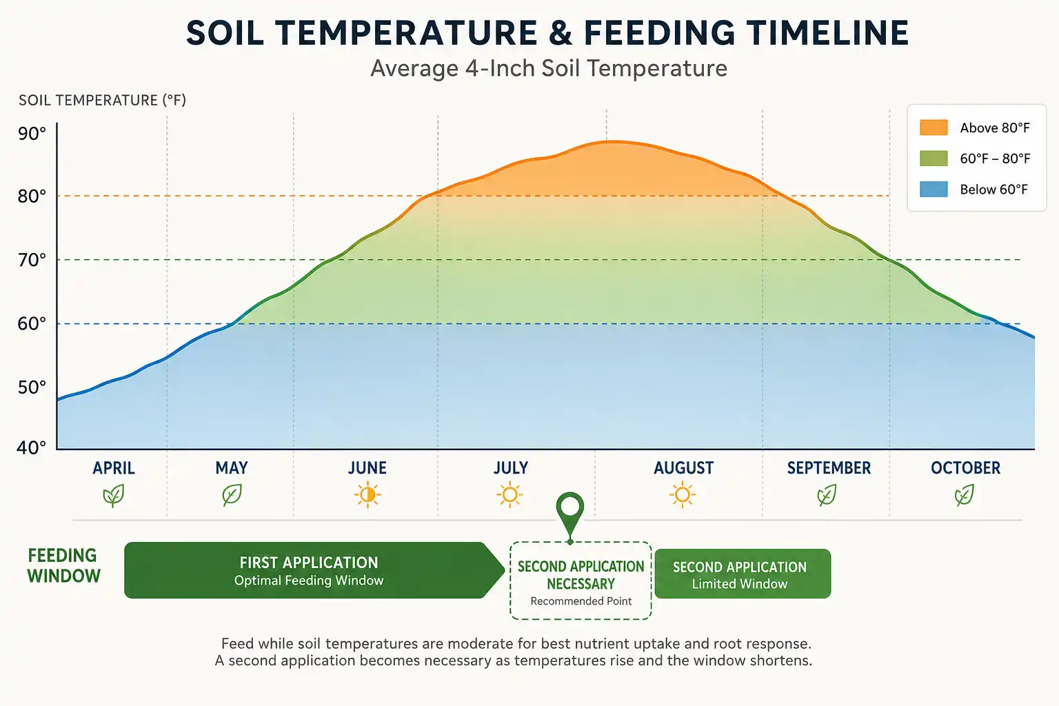 Season timeline showing a coated balanced fertilizer feeding for four to five months in 60 degree soil but only one to two months once soil passes 80 degrees, marking when a second application is due.