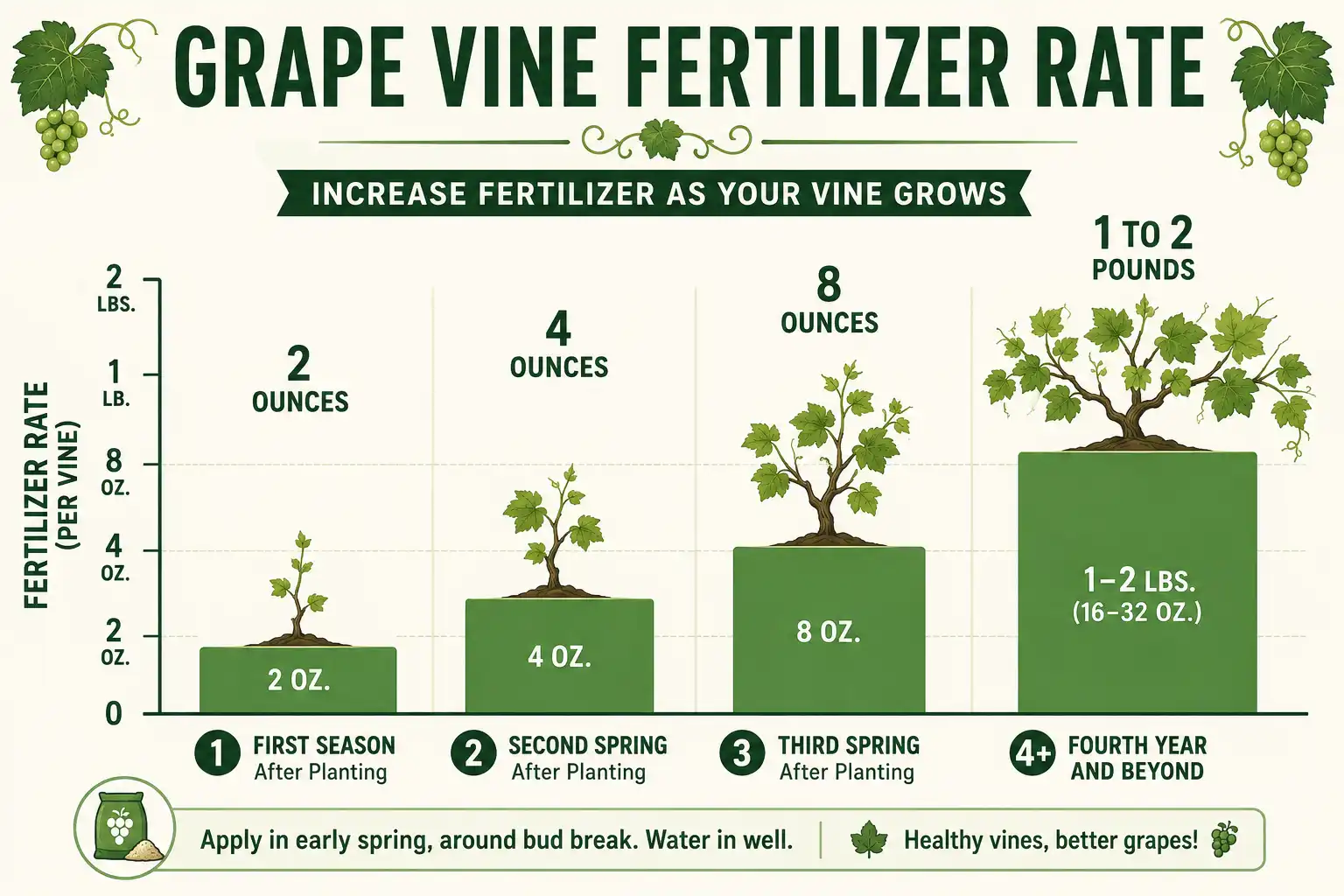 Fertilizer rate climbing with vine age, from two ounces in the first season to one or two pounds per vine from the fourth year onward
