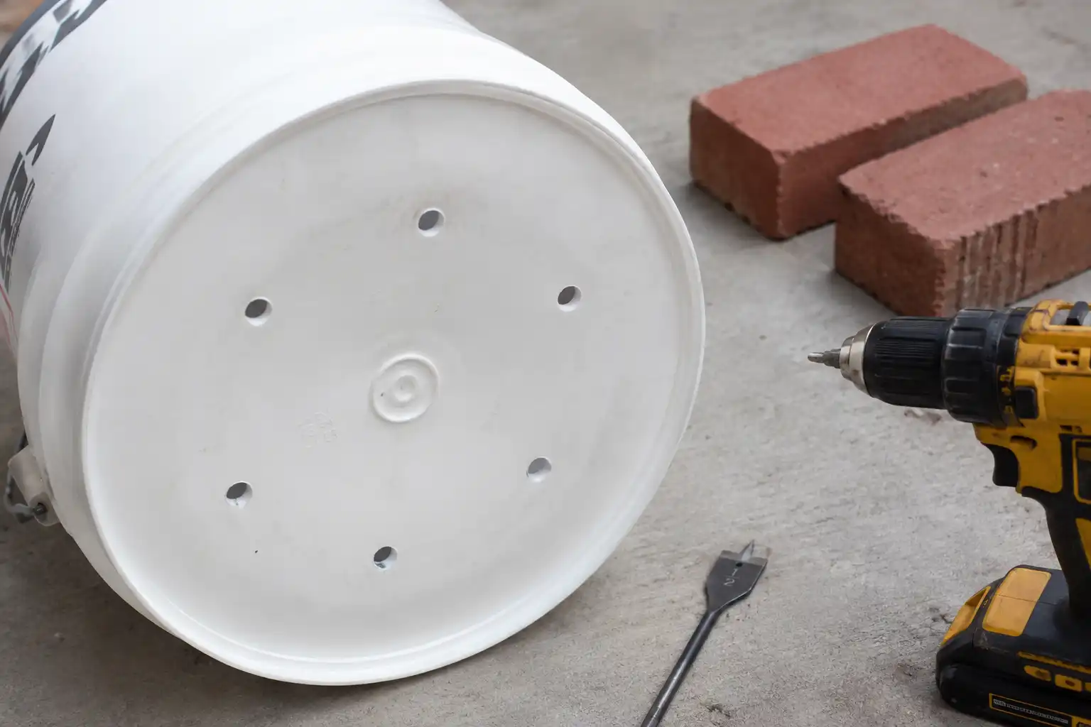 Six half inch drainage holes drilled in the bottom of a food grade 5 gallon bucket for growing onions