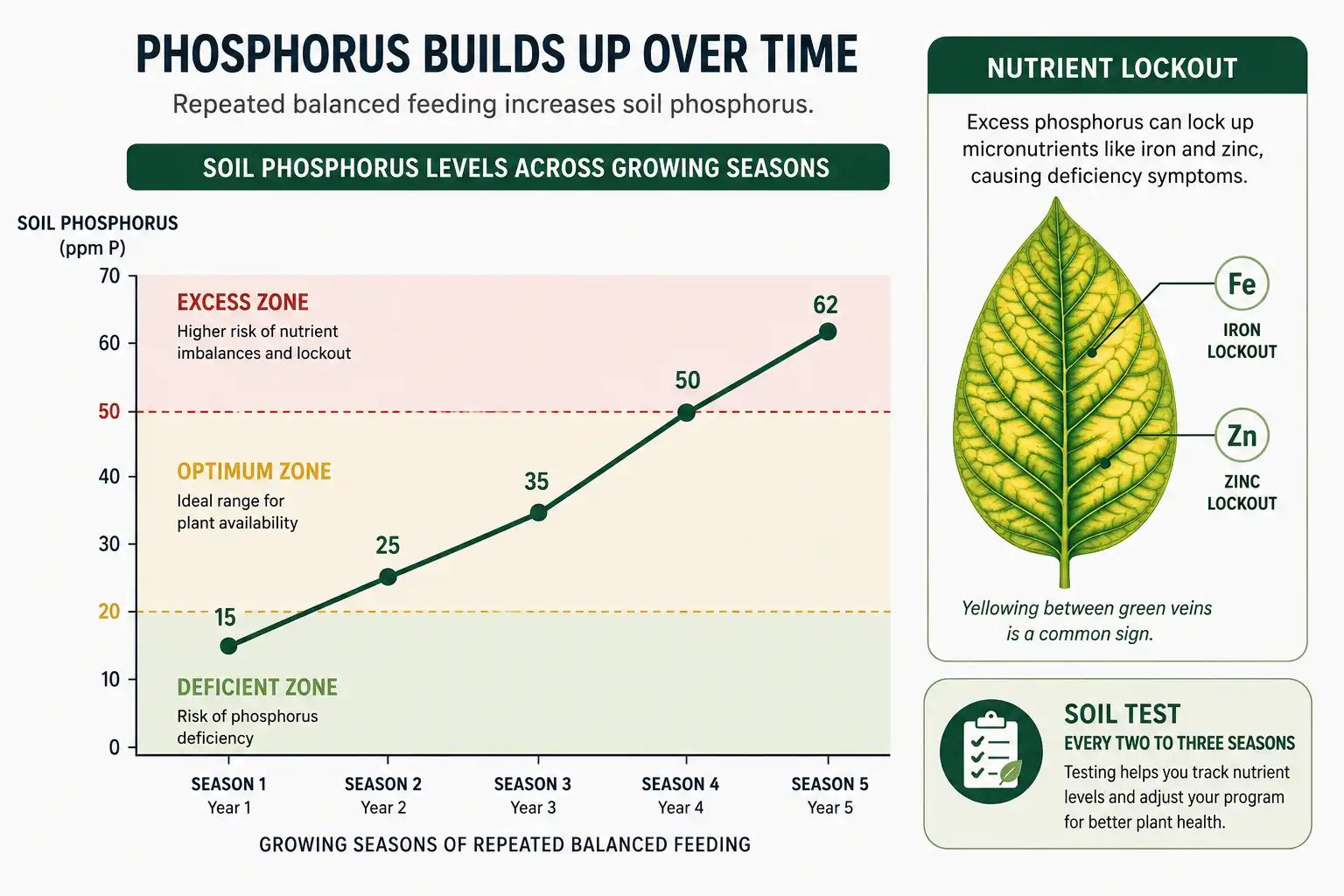 Repeated balanced feeding pushes soil phosphorus past the optimum band within a few seasons, which blocks iron and zinc uptake and yellows leaves between the veins.