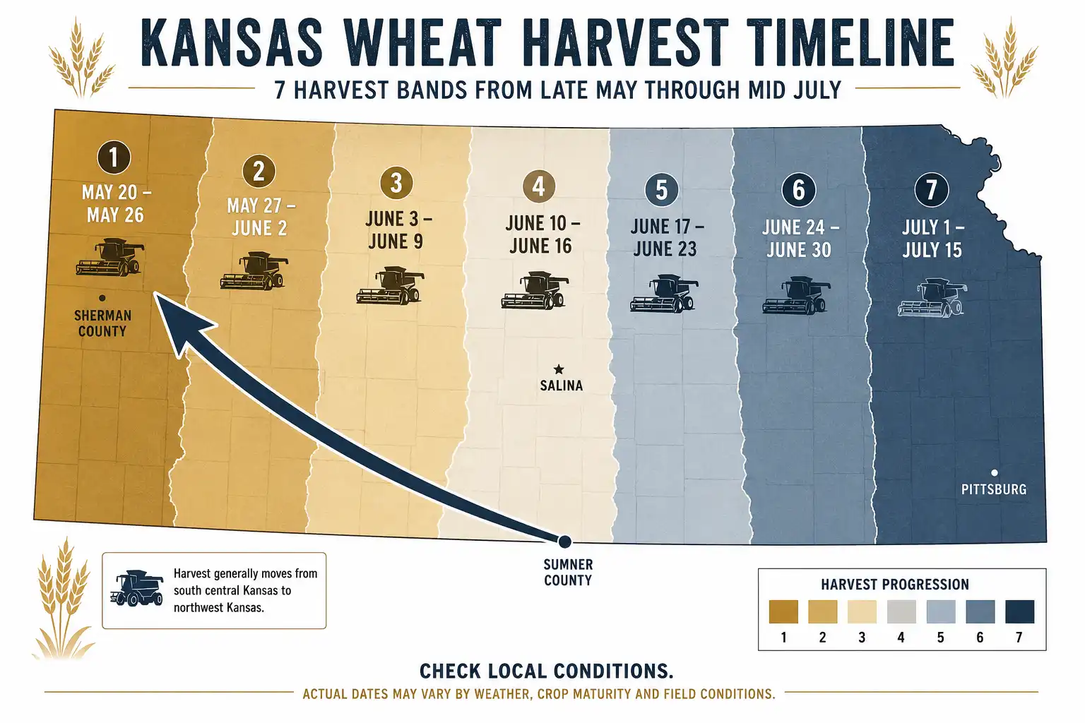 Harvest moves north and west across Kansas at about 15 to 20 miles per day, opening in Sumner and Harper counties in late May and reaching northwest counties by early July