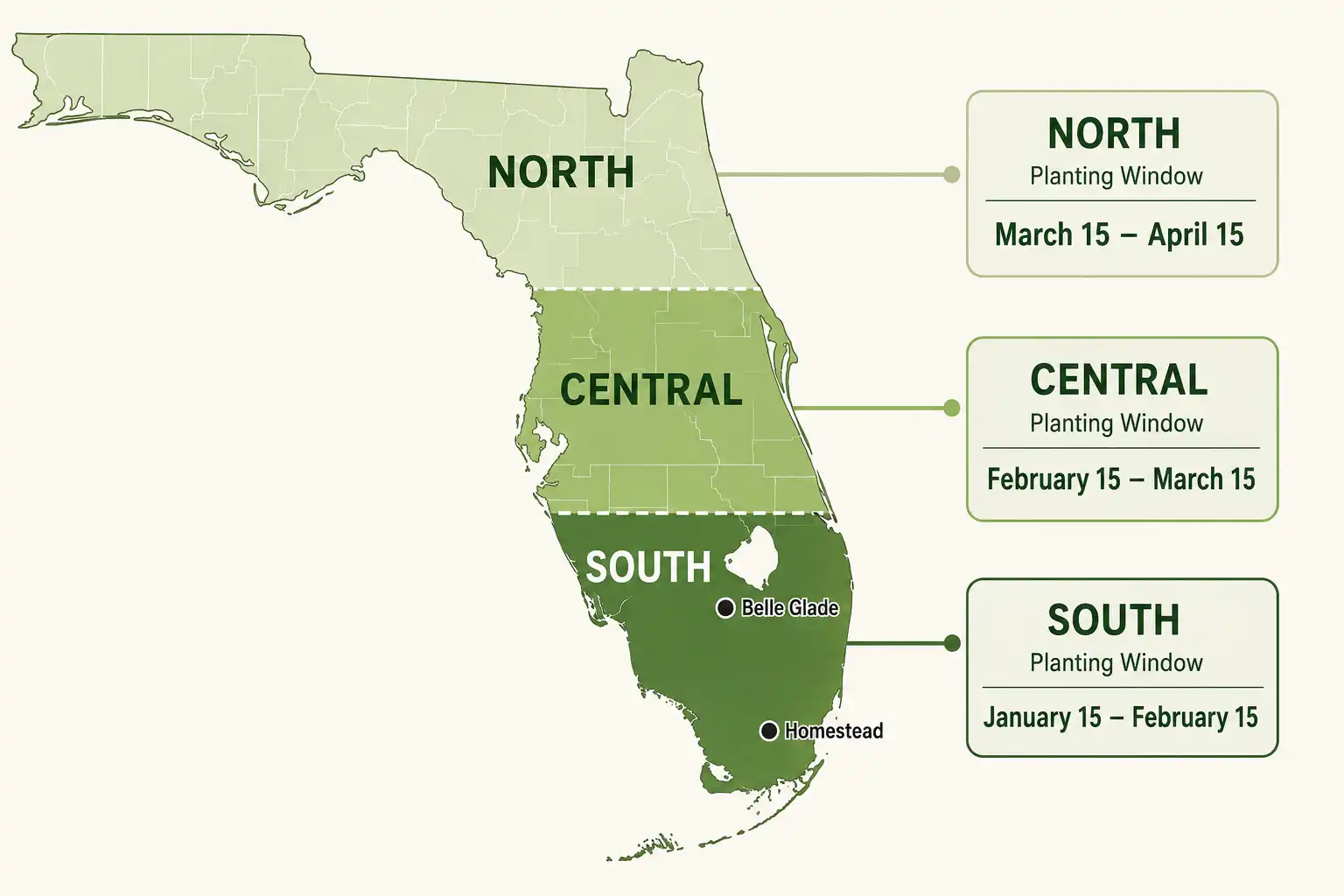 South Florida plants September to March, central Florida January to April, and north Florida February to April.