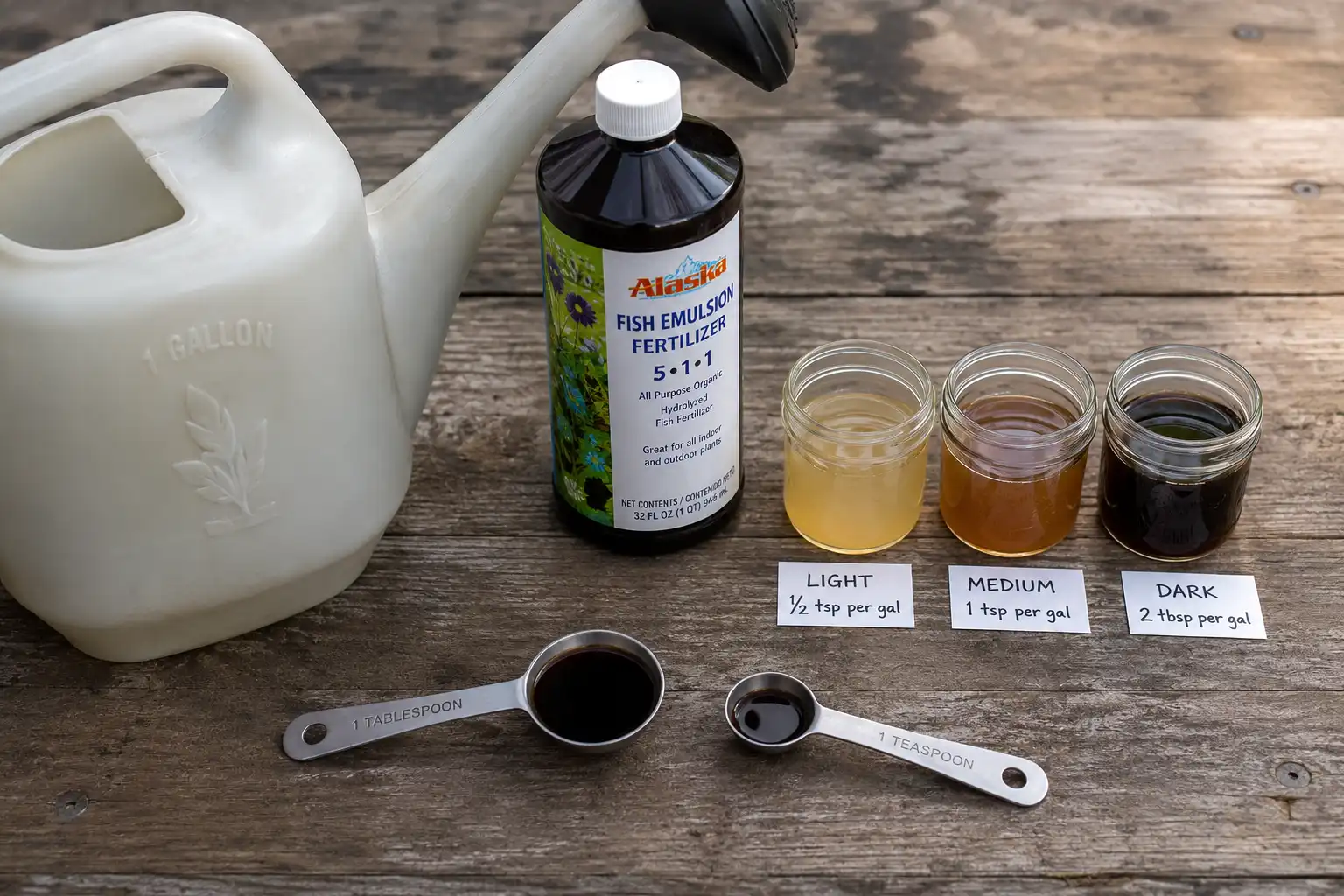 Tablespoon and teaspoon measures beside a gallon watering can with three jars showing weak, standard, and strong fish emulsion dilutions.