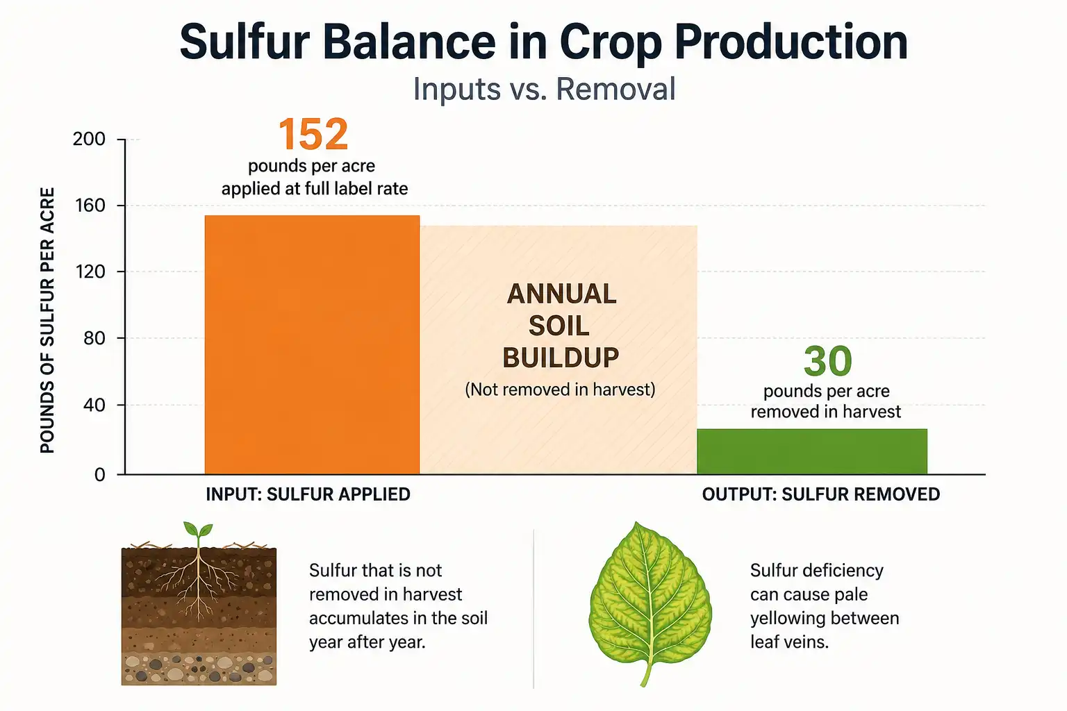 Bar chart comparing about 152 pounds of phosphate applied per acre at full label rate against roughly 30 pounds removed in harvested vegetables, showing the surplus that builds up in soil each year.
