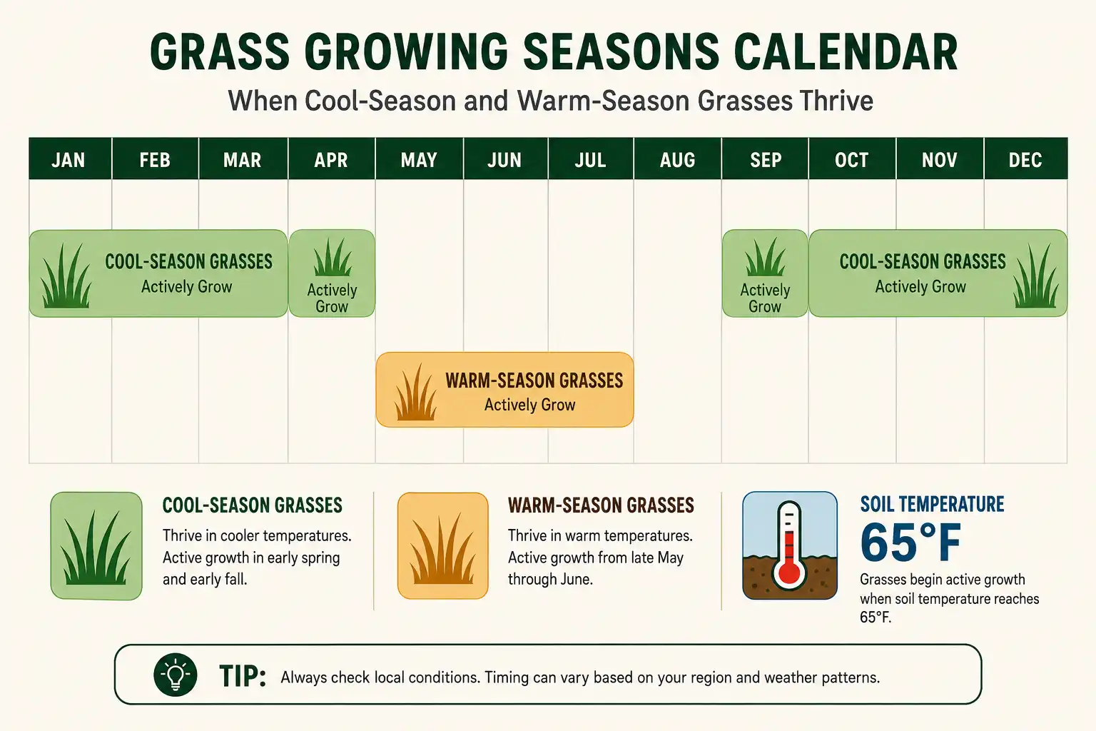 Cool-season lawns take starter fertilizer at early September seeding while warm-season grasses take it from late May into June