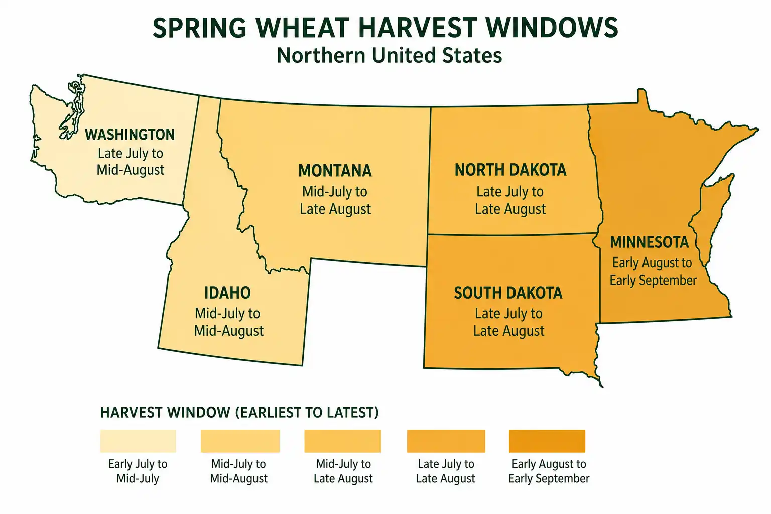 Spring wheat harvest starts in late July in South Dakota and Washington and runs into mid September in North Dakota and Montana.