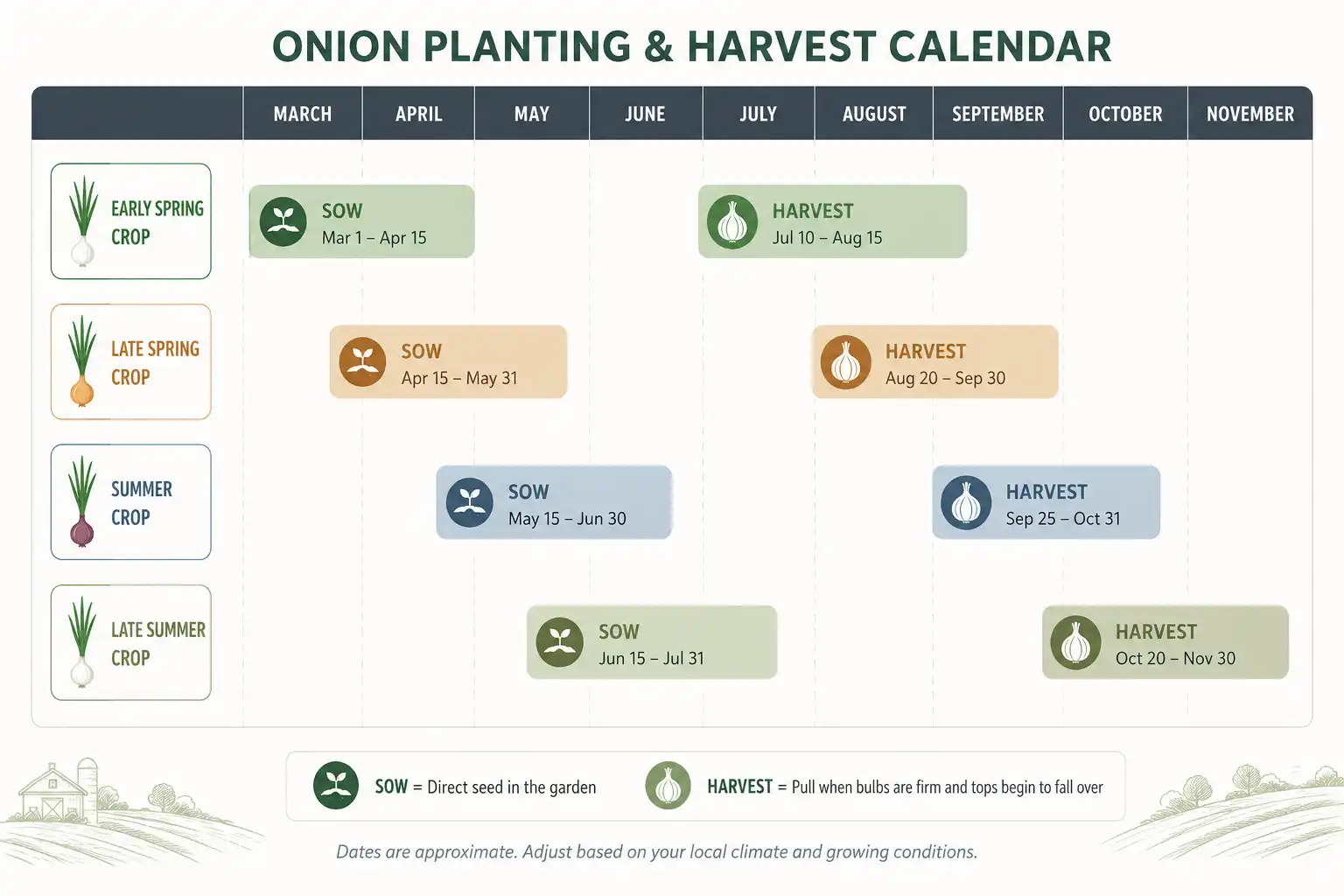 Sowing a short row every two to three weeks from late March through September keeps green onions ready to pull all season.