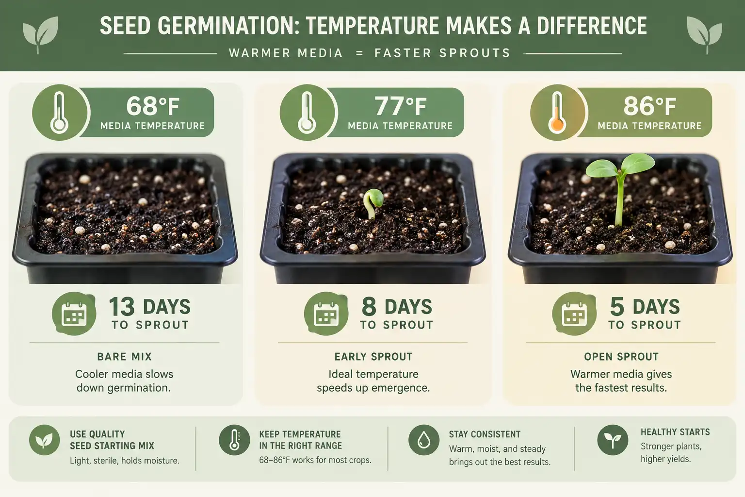 Eggplant seed emerges in about 13 days at 68 degrees, 8 days at 77 degrees, and 5 days at 86 degrees Fahrenheit.