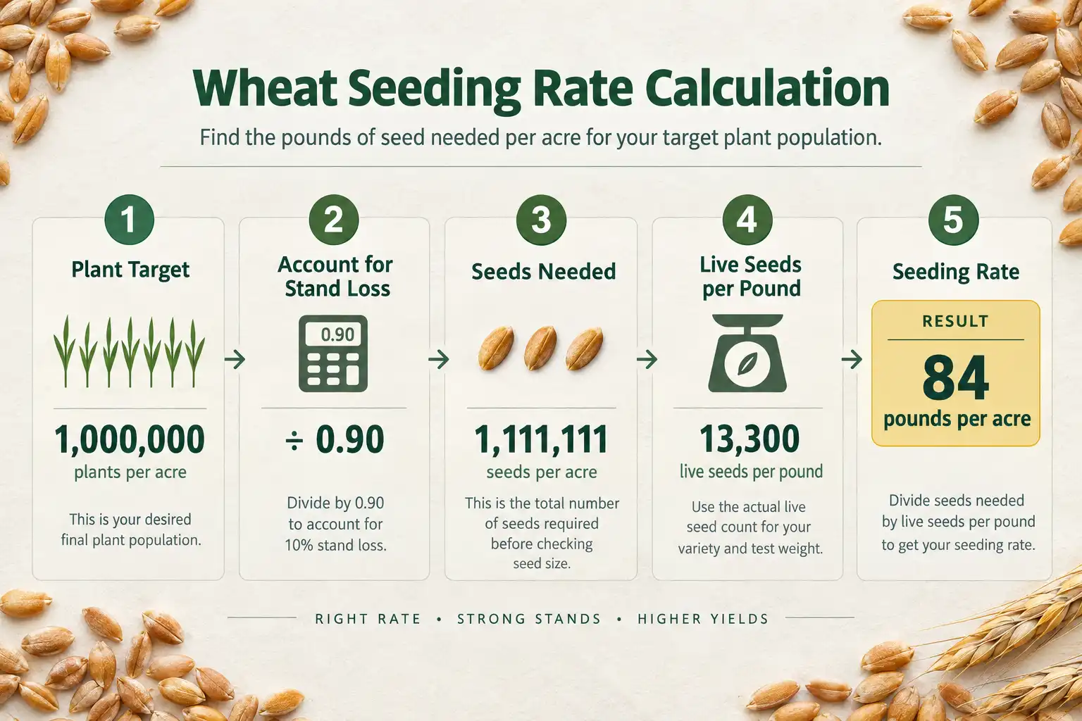 A one million plant target with 10 percent stand loss and 13,300 live seeds per pound works out to about 84 pounds of wheat seed per acre