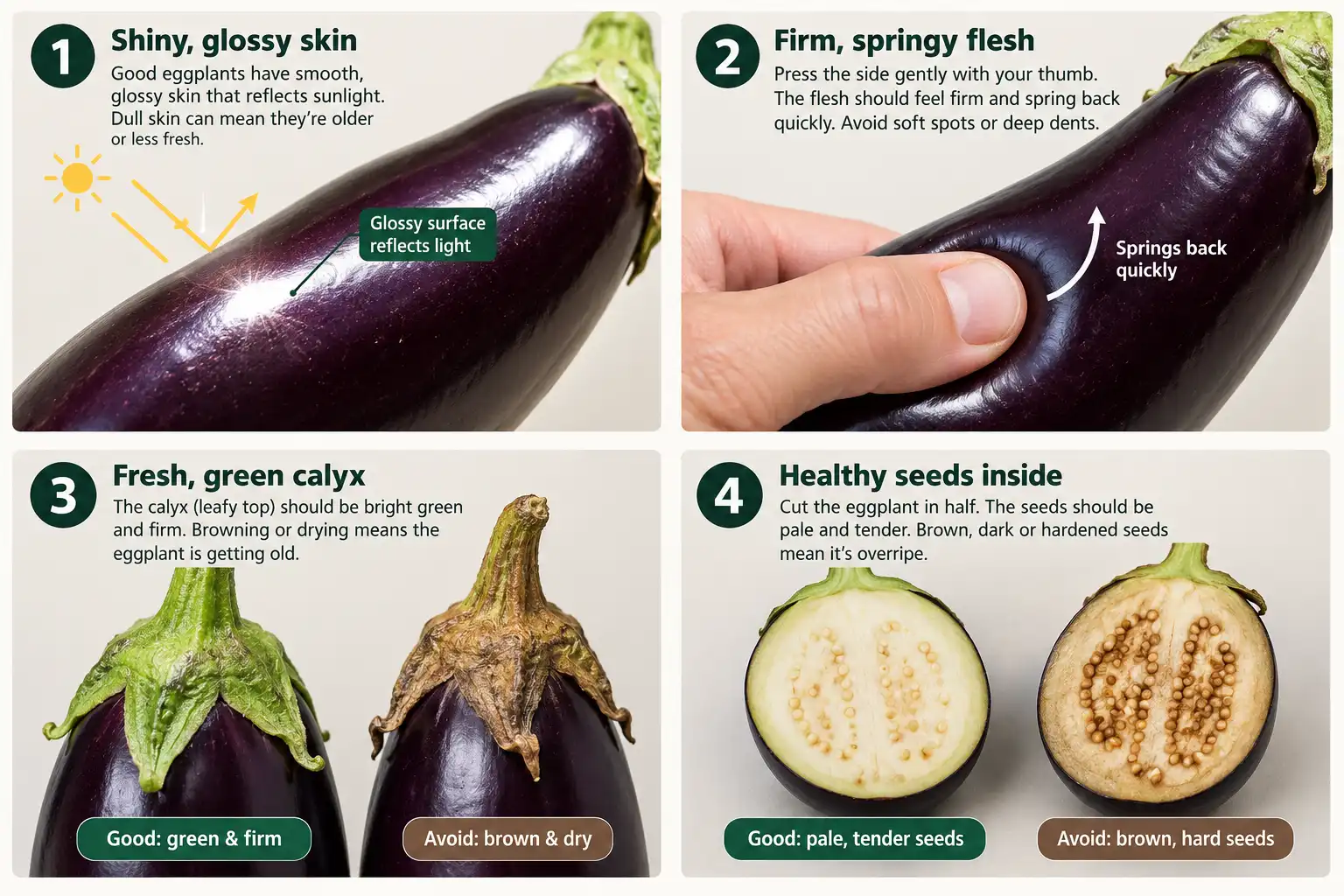 Eggplant is ready when the skin is glossy, the flesh springs back under a thumb, the calyx is green, and the seeds are still pale.