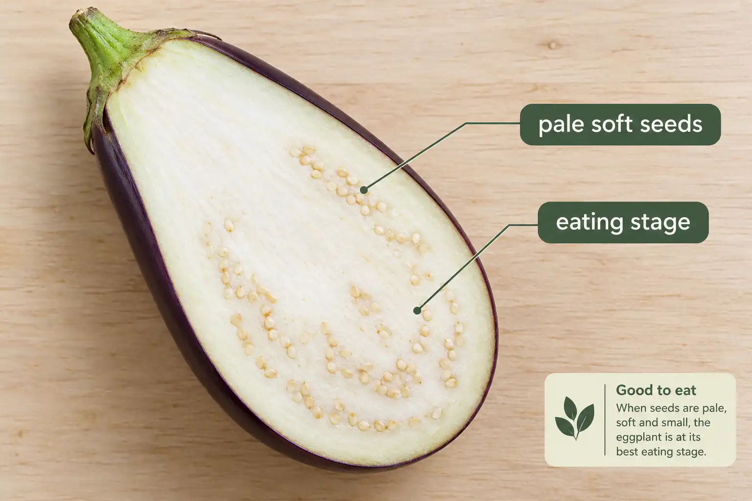 Eggplant does have seeds, shown as small pale soft seeds spread through the white flesh of a fruit halved at eating stage