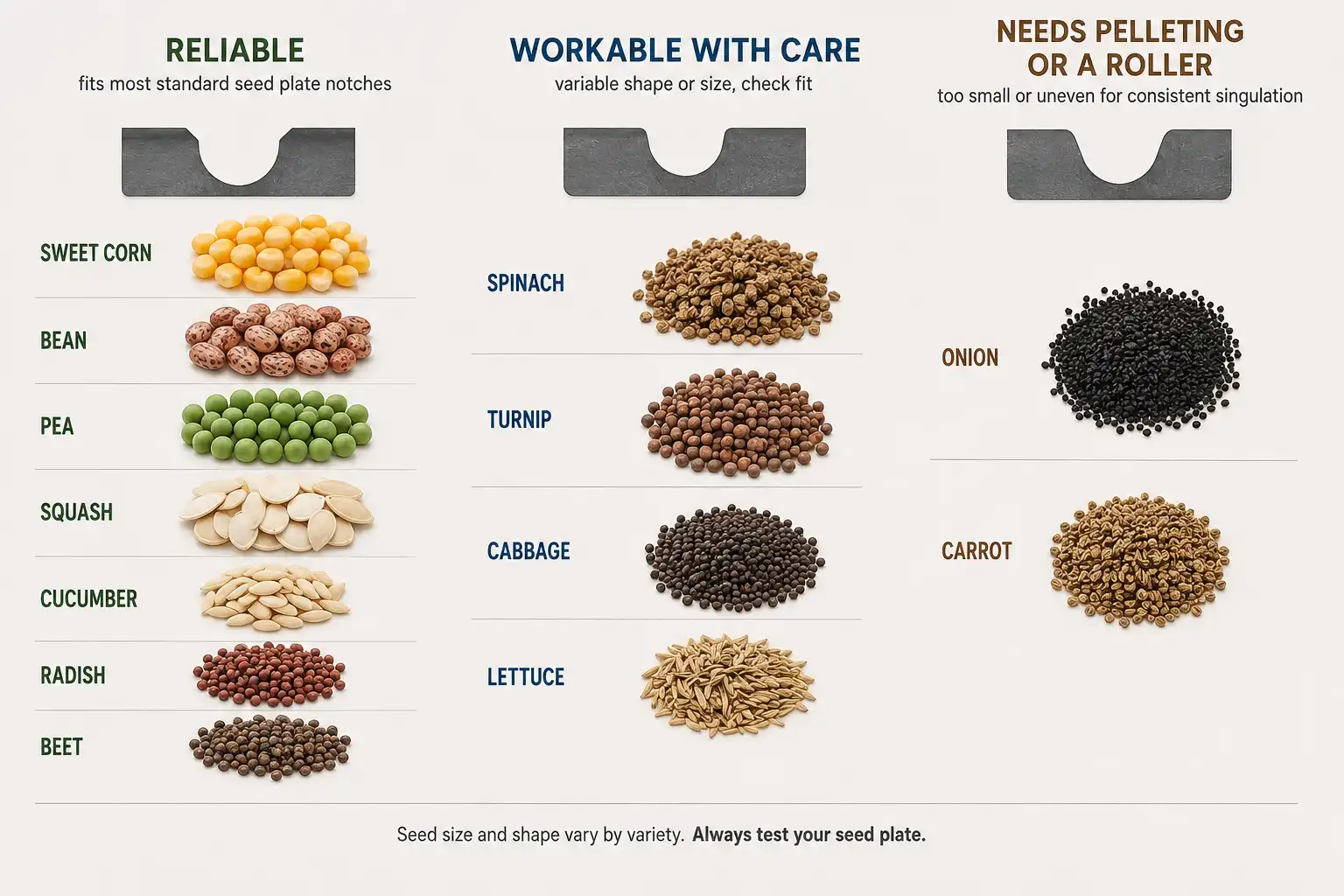 Plate seeders singulate corn, beans, peas, squash, cucumber, radish, and beet reliably, while onion and carrot seed need pelleting or a roller unit.
